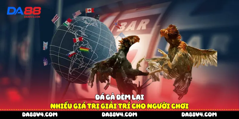 Đá gà đem lại nhiều giá trị giải trí cho người chơi