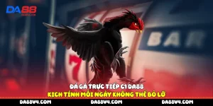 Đá gà trực tiếp C1 DA88
