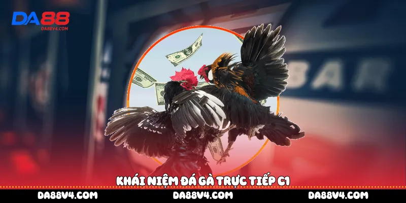 Khái niệm đá gà trực tiếp C1